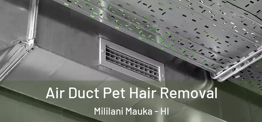 Air Duct Pet Hair Removal Mililani Mauka - HI
