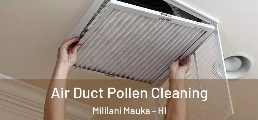 Air Duct Pollen Cleaning Mililani Mauka - HI