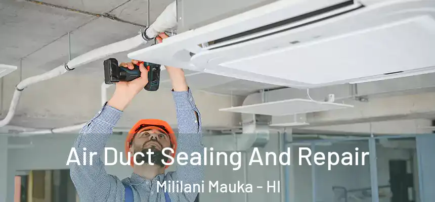 Air Duct Sealing And Repair Mililani Mauka - HI
