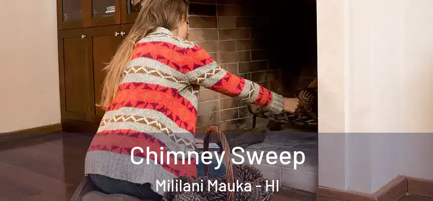 Chimney Sweep Mililani Mauka - HI