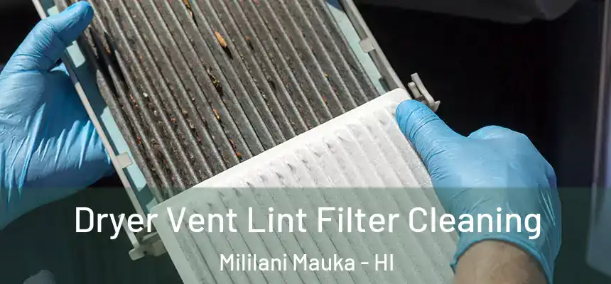  Dryer Vent Lint Filter Cleaning Mililani Mauka - HI