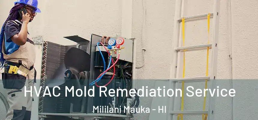 HVAC Mold Remediation Service Mililani Mauka - HI