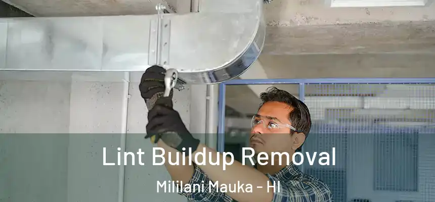  Lint Buildup Removal Mililani Mauka - HI