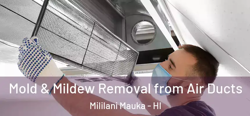 Mold & Mildew Removal from Air Ducts Mililani Mauka - HI