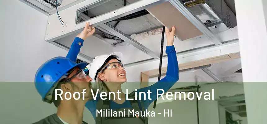  Roof Vent Lint Removal Mililani Mauka - HI