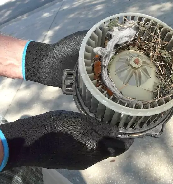 About Air Duct Mice Removal in Mililani Mauka, HI