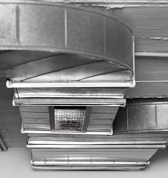 Professional Air Duct Pest Removal in Mililani Mauka, HI