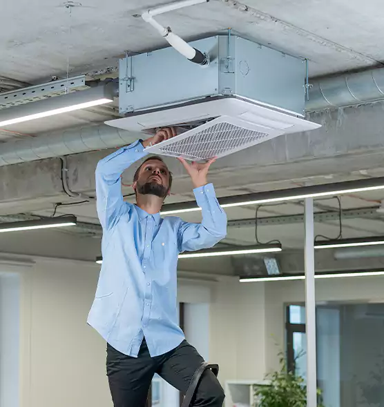 Advanced Rodent Droppings In Vents in Mililani Mauka, HI
