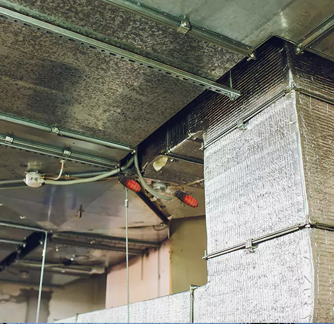 Why Homeowners & Businesses Trust Us in Mililani Mauka, HI?