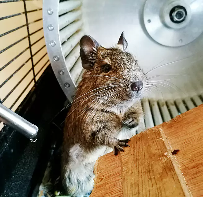 Why Homeowners & Businesses Trust Us Mililani Mauka, HI