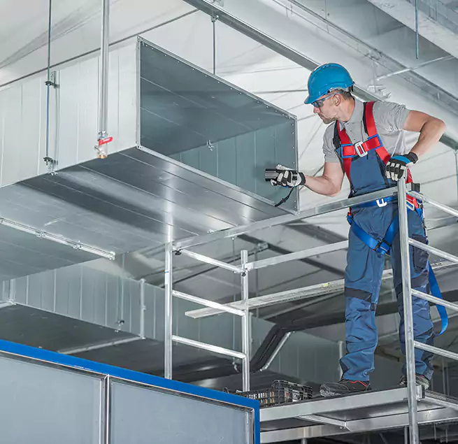 Why Homeowners & Businesses Trust Us in Mililani Mauka, HI?