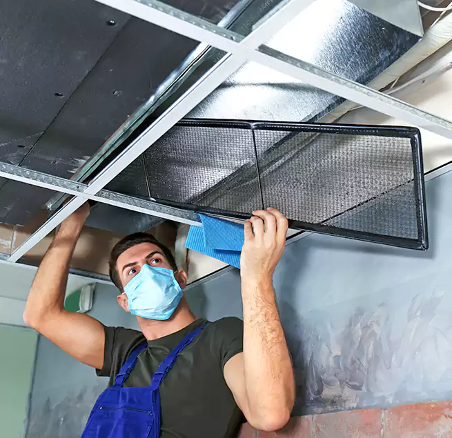 Why Homeowners Businesses Trust Us in Mililani Mauka, HI