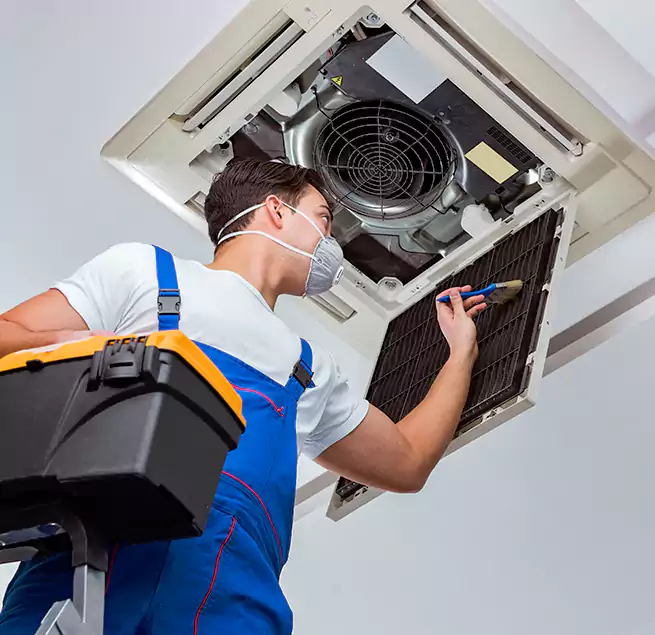 Why Homeowners & Businesses Trust Us in Mililani Mauka, HI